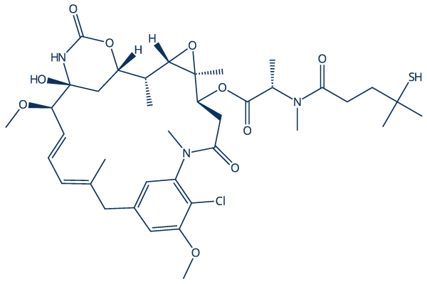 DM4
