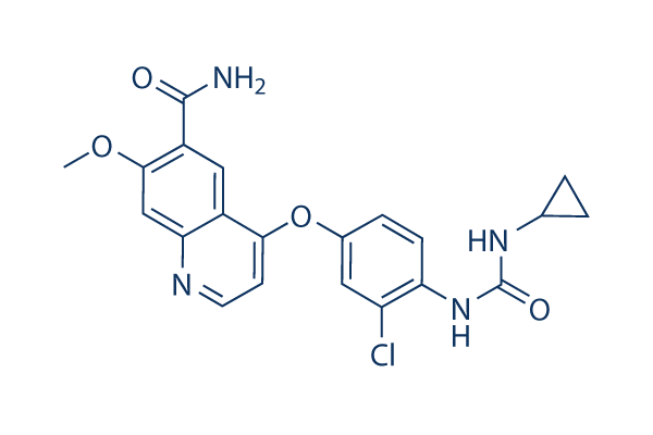 E7080 (Lenvatinib)