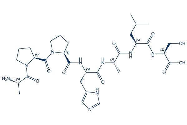 RS 09