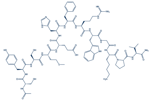 α-MSH