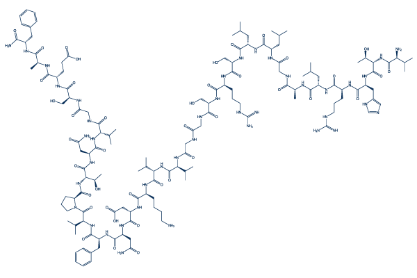 Rat CGRP- (8-37)