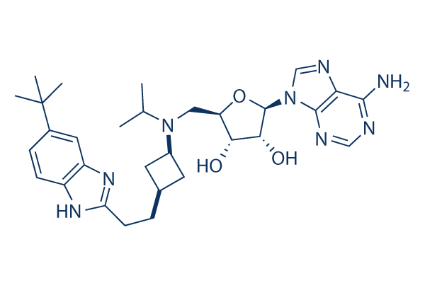 Pinometostat (EPZ5676)
