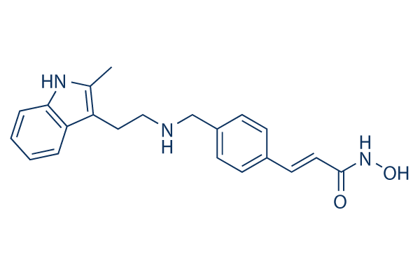 Panobinostat (LBH589)