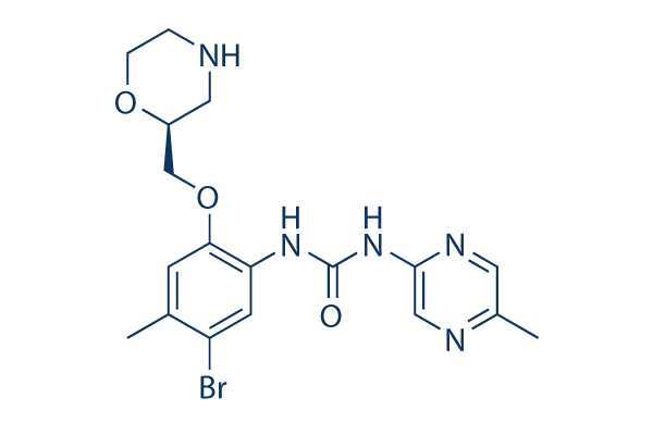 Rabusertib (LY2603618)