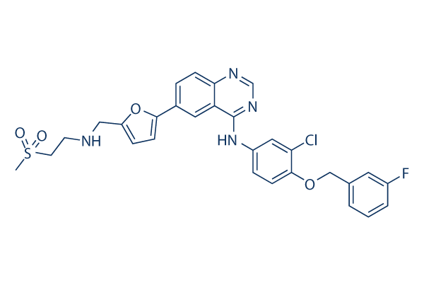 Lapatinib (GW572016)