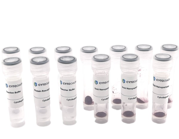 20nm Maleimide-Activated Gold Nanoparticle Conjugation Kit