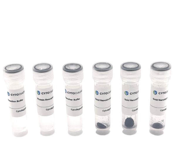 90nm NHS-Activated Gold NanoUrchins Conjugation Kit