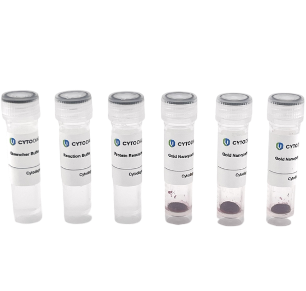 10nm Maleimide-Activated Gold Nanoparticle Conjugation Kit