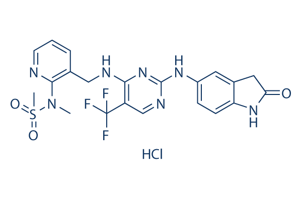PF-562271 HCl