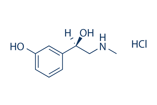 Phenylephrine HCl