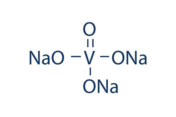 Sodium orthovanadate