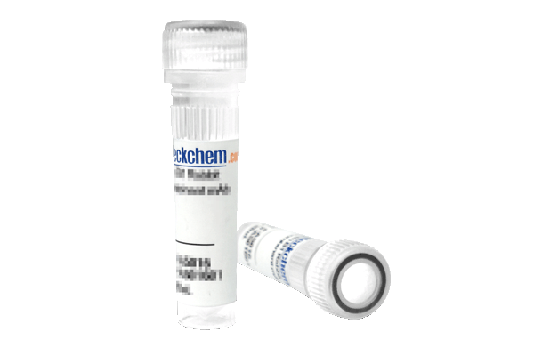 Vorsetuzumab Mafodotin