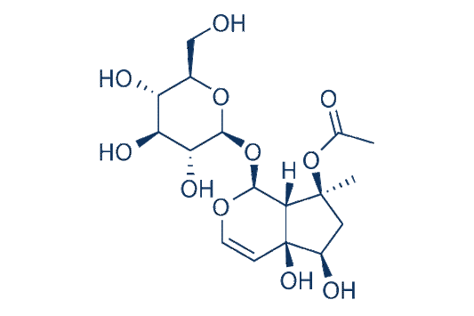Acetylharpagide