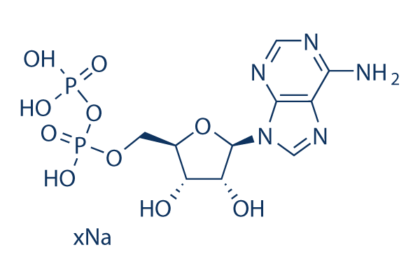 Adenosine 5′-diphosphate sodium salt