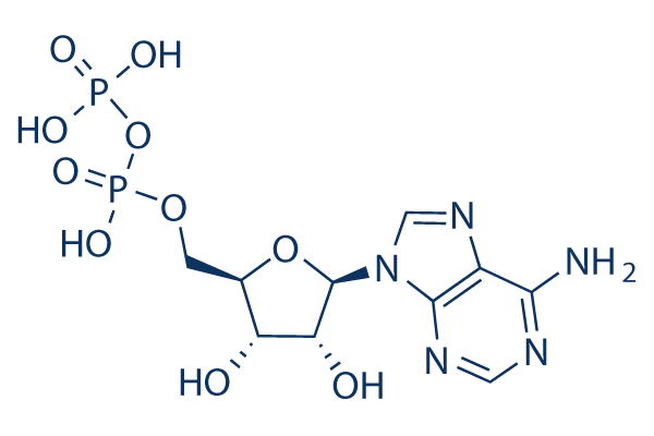 ADP