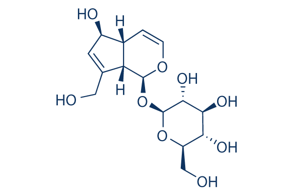 Aucubin