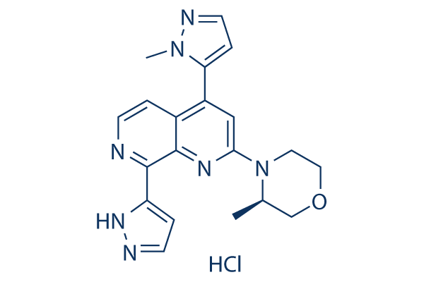Elimusertib (BAY-1895344)hydrochloride