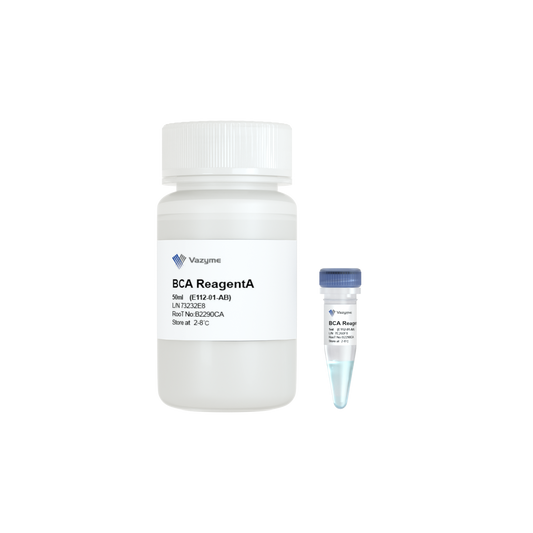 BCA Protein Quantification Kit