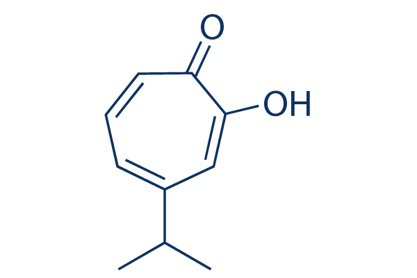 β-thujaplicin
