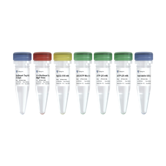 BioSmart U+ Taq HS DNA Polymerase