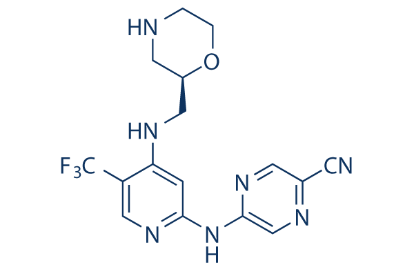 CCT245737 (SRA737)