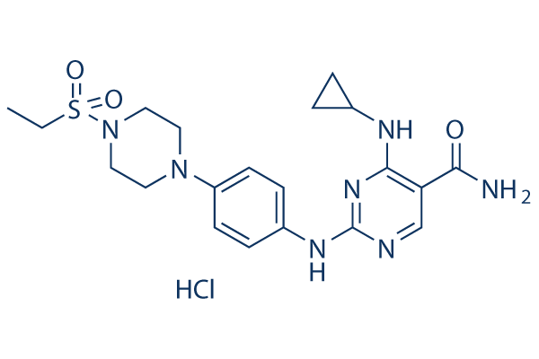 Cerdulatinib (PRT062070)hydrochloride