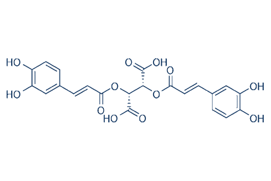 (-)-Chicoric acid