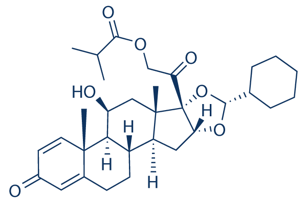 Ciclesonide