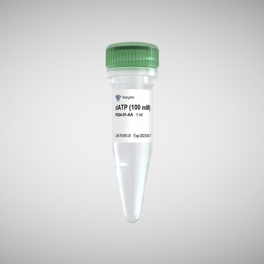 dATP (100 mM)
