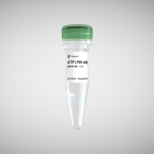 dCTP (100 mM)
