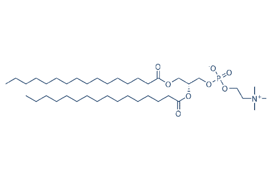 1,2-dipalmitoyl-sn-glycero-3-phosphocholine