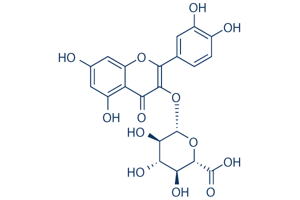 Quercetin 3-O-β-D-glucuronide