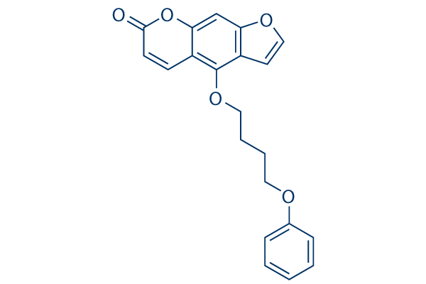 PAP-1