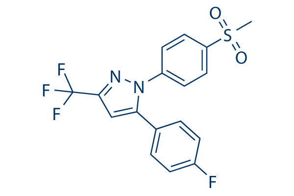 SC-58125