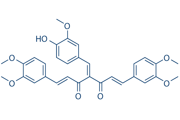 NF-κB-IN-1