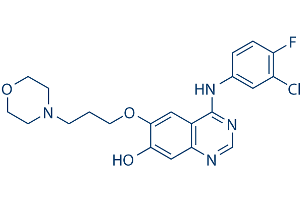 O-Demethyl-Gefitinib