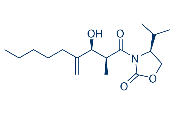 LMT-28