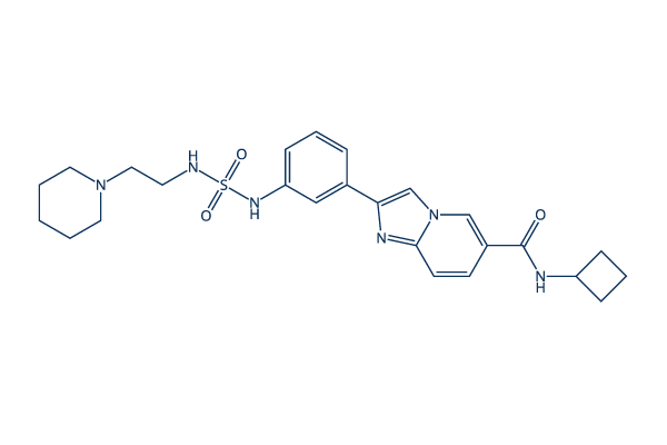 SR-0813