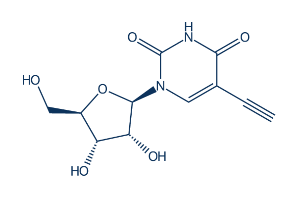 5-Ethynyluridine