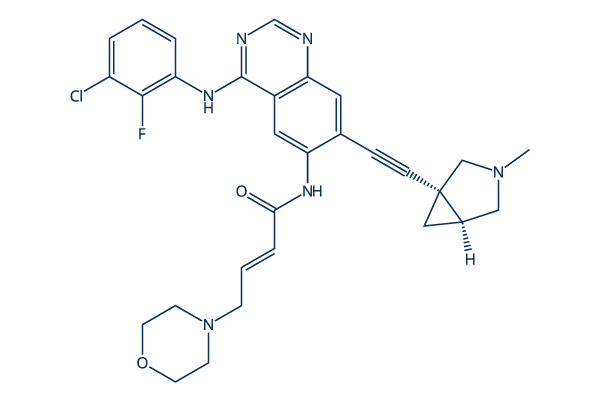 BDTX-1535