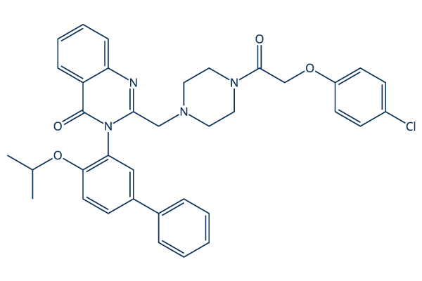 Erastin2