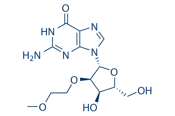 2′-O- (2-Methoxyethyl)guanosine