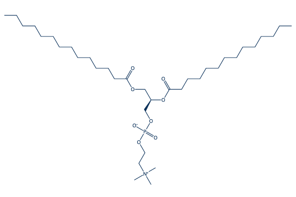 dimyristoyl lecithin