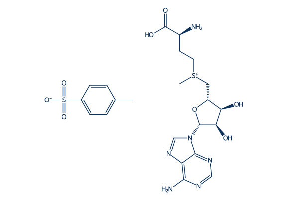 S- (5'-Adenosyl)-L-methionine p-toluenesulfonate salt