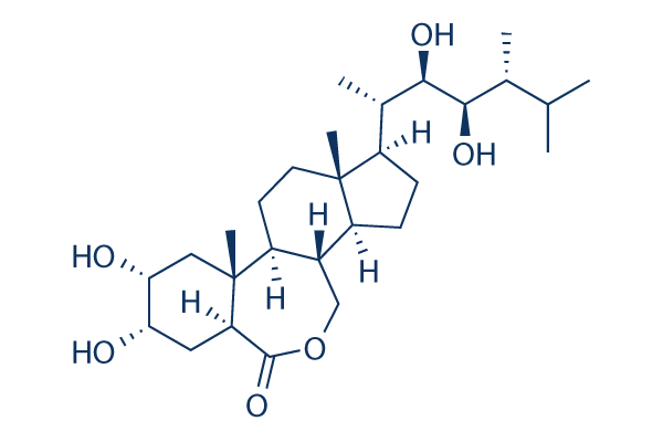 Epibrassinolide