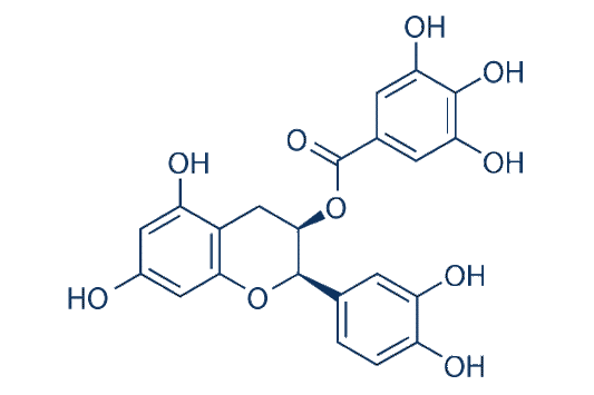 (-)-Epicatechin gallate