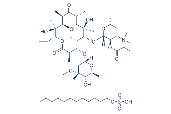 Erythromycin estolate