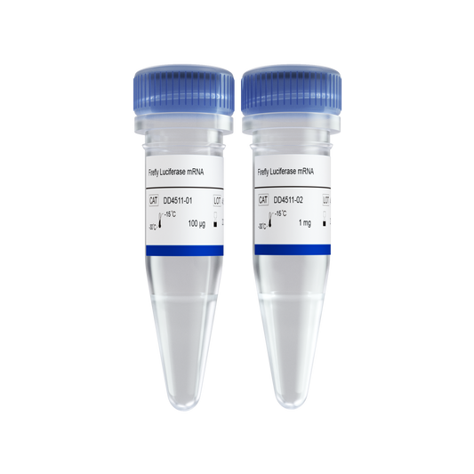 Firefly Luciferase mRNA