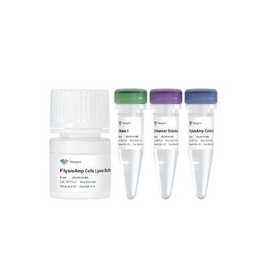 FlysisAmp Cells Lysis Kit