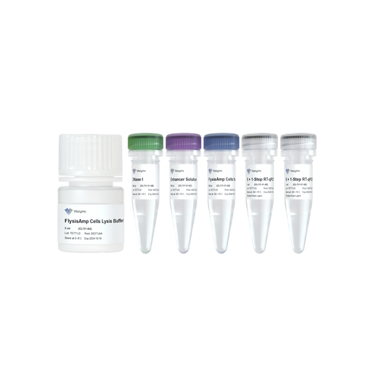 FlysisAmp Cells-to-CT 1-Step Probe Kit